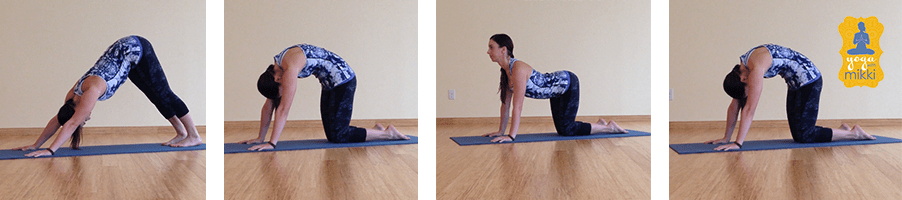 10waystovinyasa_catcow